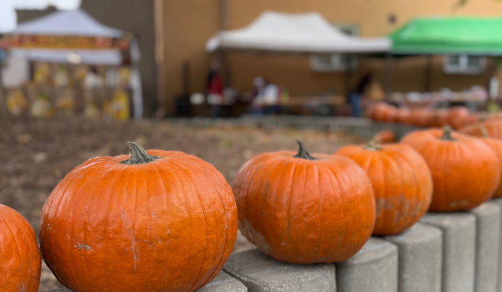 12. fotografia fotogalérie Rovinčanské jesenné hodovanie