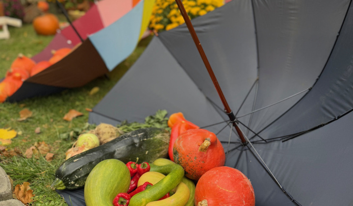 13. fotografia fotogalérie Rovinčanské jesenné hodovanie