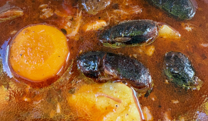 40. fotografia fotogalérie Rovinčanské jesenné hodovanie