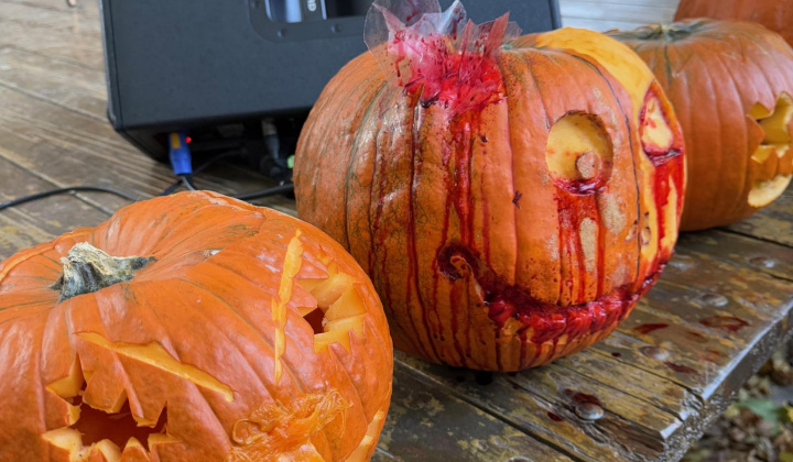 47. fotografia fotogalérie Rovinčanské jesenné hodovanie