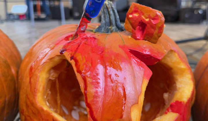 49. fotografia fotogalérie Rovinčanské jesenné hodovanie