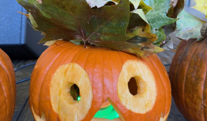 52. fotografia fotogalérie Rovinčanské jesenné hodovanie