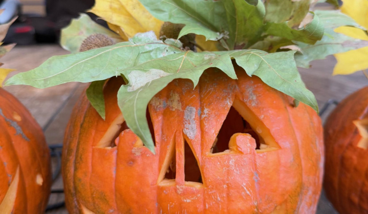 53. fotografia fotogalérie Rovinčanské jesenné hodovanie