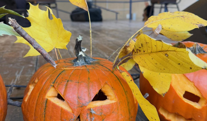 54. fotografia fotogalérie Rovinčanské jesenné hodovanie