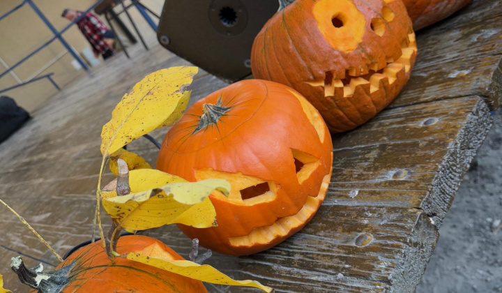 55. fotografia fotogalérie Rovinčanské jesenné hodovanie