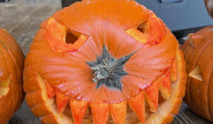 56. fotografia fotogalérie Rovinčanské jesenné hodovanie