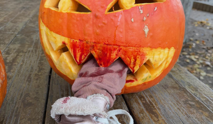 57. fotografia fotogalérie Rovinčanské jesenné hodovanie