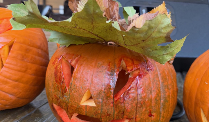 59. fotografia fotogalérie Rovinčanské jesenné hodovanie