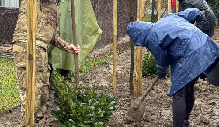 8. fotografia fotogalérie Aktuality / Výsadba stromov na Zelenej ulici - foto