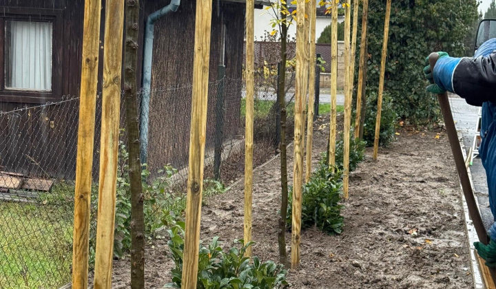 10. fotografia fotogalérie Aktuality / Výsadba stromov na Zelenej ulici - foto