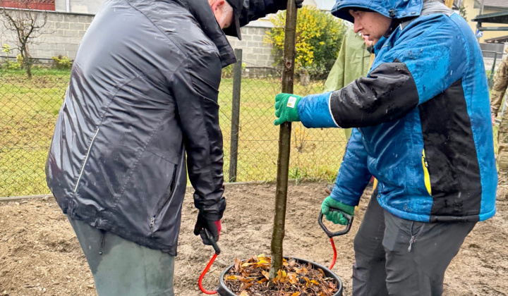 4. fotografia fotogalérie Aktuality / Výsadba stromov na Zelenej ulici - foto