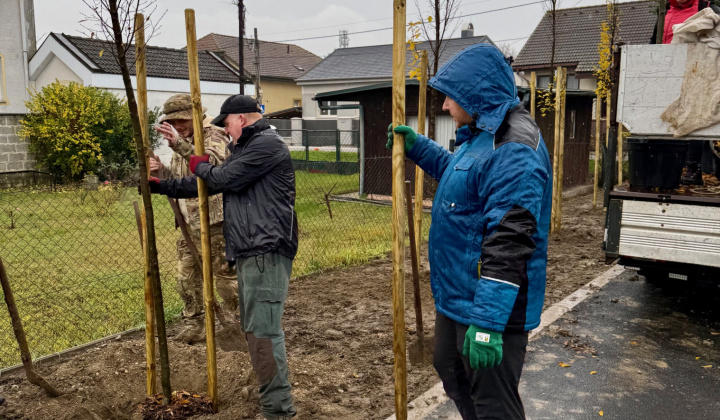 5. fotografia fotogalérie Aktuality / Výsadba stromov na Zelenej ulici - foto