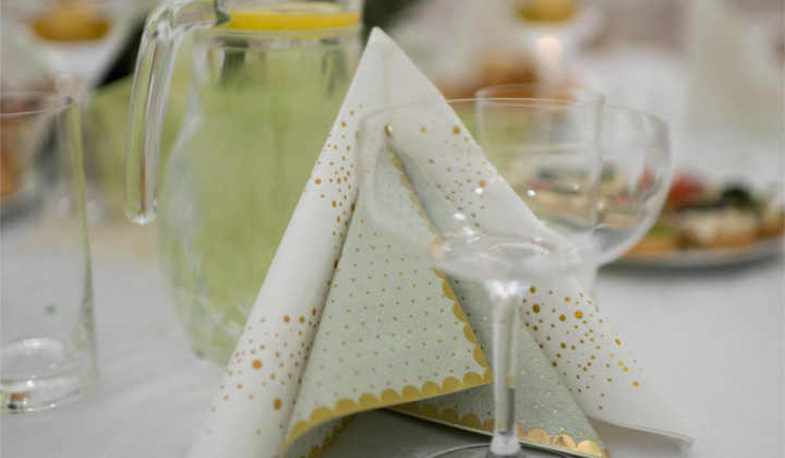 6. fotografia fotogalérie 17. reprezentačný ples obce