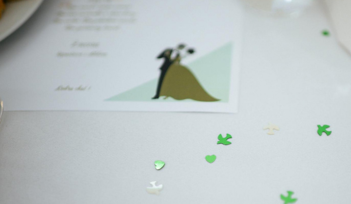 10. fotografia fotogalérie 17. reprezentačný ples obce