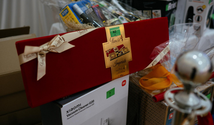 12. fotografia fotogalérie 17. reprezentačný ples obce