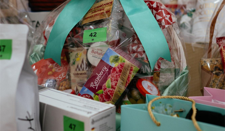 24. fotografia fotogalérie 17. reprezentačný ples obce