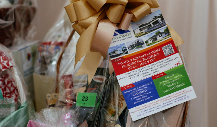 25. fotografia fotogalérie 17. reprezentačný ples obce