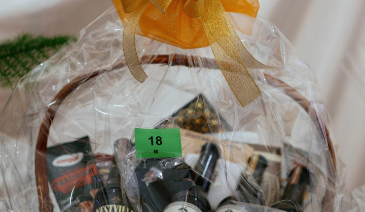 27. fotografia fotogalérie 17. reprezentačný ples obce