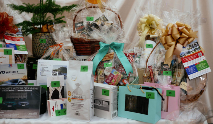 29. fotografia fotogalérie 17. reprezentačný ples obce