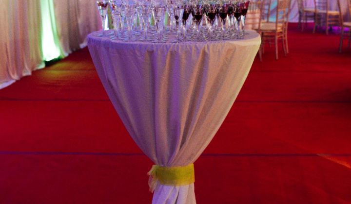 45. fotografia fotogalérie 17. reprezentačný ples obce