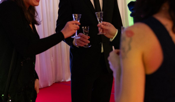 53. fotografia fotogalérie 17. reprezentačný ples obce