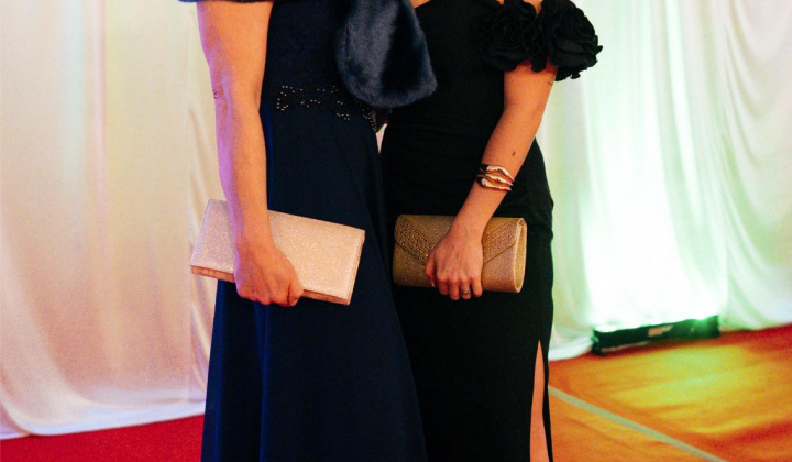 55. fotografia fotogalérie 17. reprezentačný ples obce