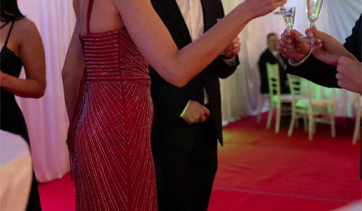 66. fotografia fotogalérie 17. reprezentačný ples obce