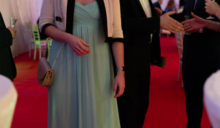 85. fotografia fotogalérie 17. reprezentačný ples obce