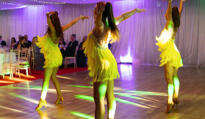 98. fotografia fotogalérie 17. reprezentačný ples obce