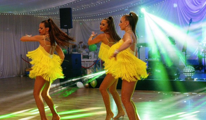 99. fotografia fotogalérie 17. reprezentačný ples obce