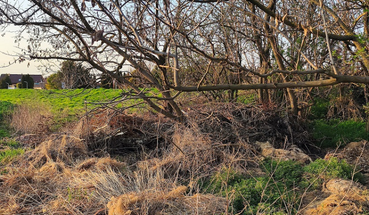 1. fotografia fotogalérie Aktuality / Upozornenie pre občanov - nelegálne skládky - foto