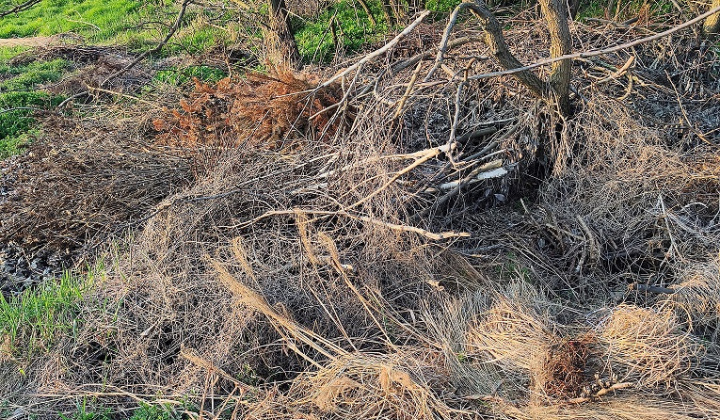2. fotografia fotogalérie Aktuality / Upozornenie pre občanov - nelegálne skládky - foto