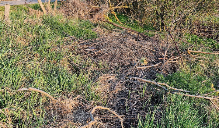 3. fotografia fotogalérie Aktuality / Upozornenie pre občanov - nelegálne skládky - foto