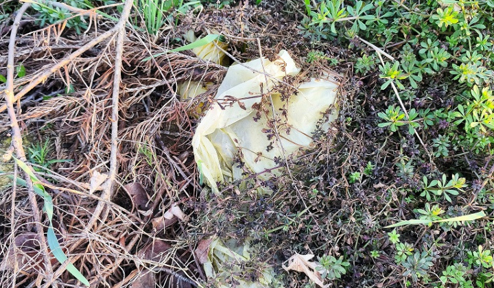 4. fotografia fotogalérie Aktuality / Upozornenie pre občanov - nelegálne skládky - foto