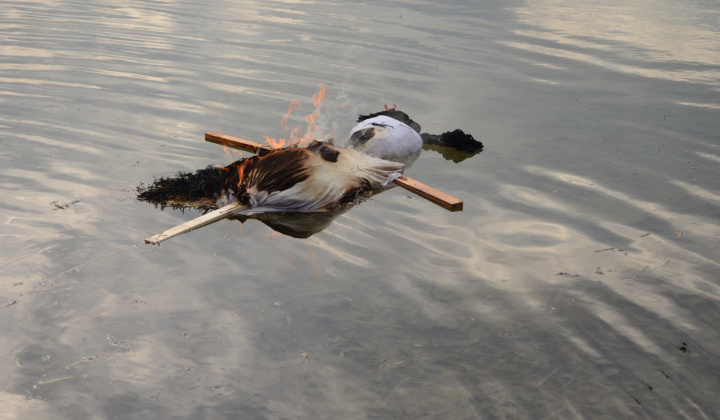 35. fotografia fotogalérie Vynášanie Moreny