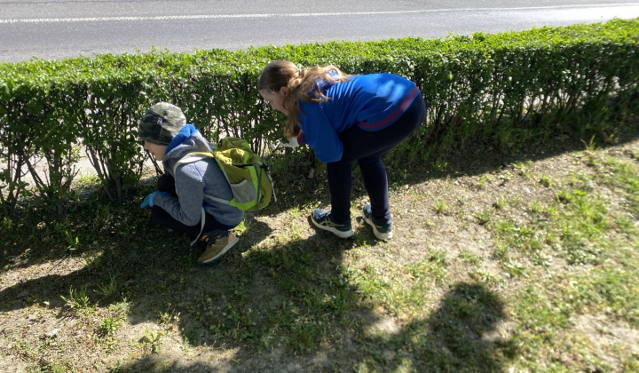 19. fotografia fotogalérie Brigáda ku dňu Zeme 2026