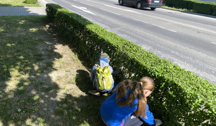 20. fotografia fotogalérie Brigáda ku dňu Zeme 2026