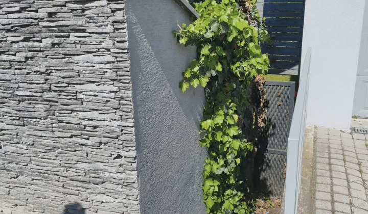 31. fotografia fotogalérie Brigáda ku dňu Zeme 2026