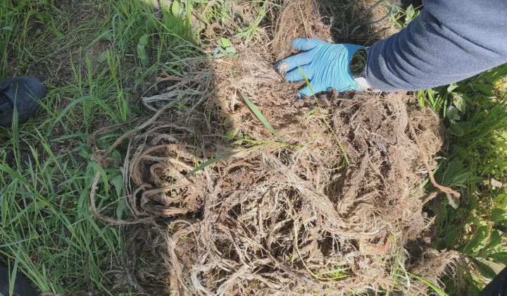 32. fotografia fotogalérie Brigáda ku dňu Zeme 2026