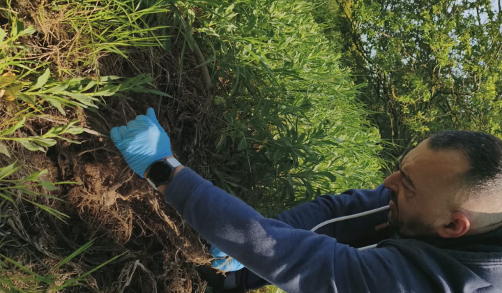 34. fotografia fotogalérie Brigáda ku dňu Zeme 2026