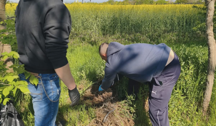 36. fotografia fotogalérie Brigáda ku dňu Zeme 2026