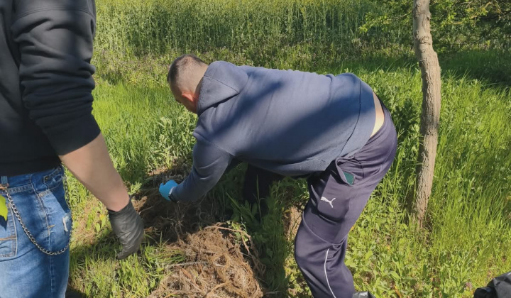 38. fotografia fotogalérie Brigáda ku dňu Zeme 2026