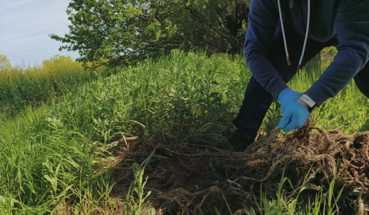 39. fotografia fotogalérie Brigáda ku dňu Zeme 2026