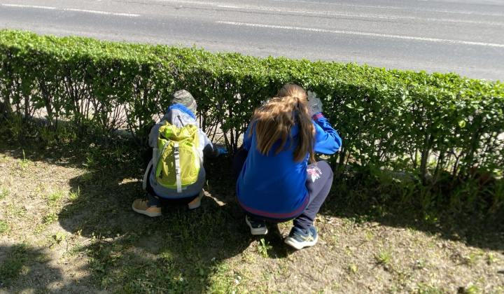 9. fotografia fotogalérie Aktuality / Brigáda ku Dňu Zeme – vyhodnotenie fotosúťaže - foto