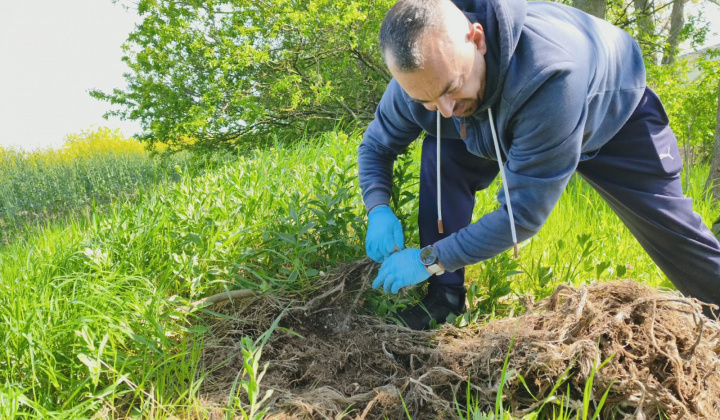 11. fotografia fotogalérie Aktuality / Brigáda ku Dňu Zeme – vyhodnotenie fotosúťaže - foto