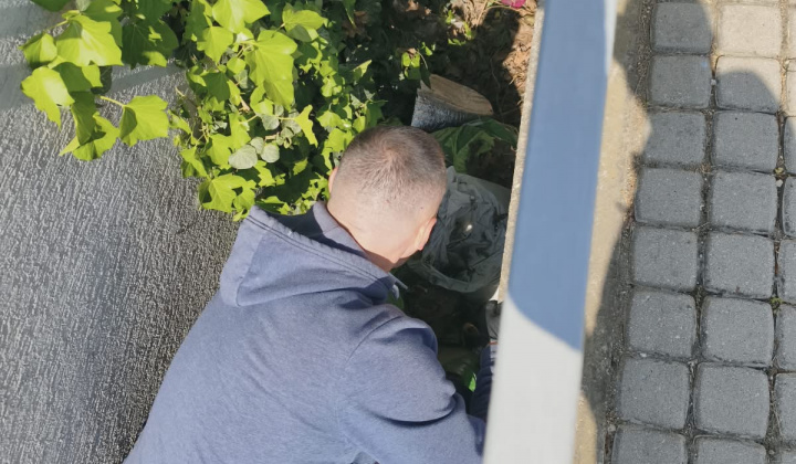 14. fotografia fotogalérie Aktuality / Brigáda ku Dňu Zeme – vyhodnotenie fotosúťaže - foto