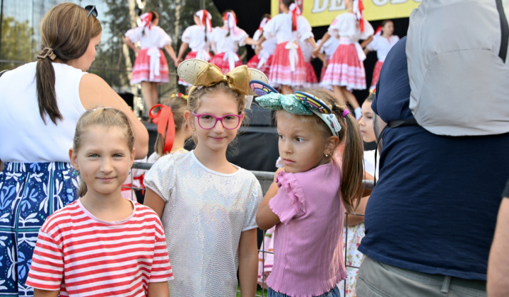 56. fotografia fotogalérie Deň obce Rovinka 2026