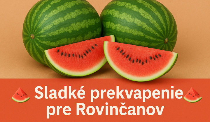 Fotka - Starostovský melón