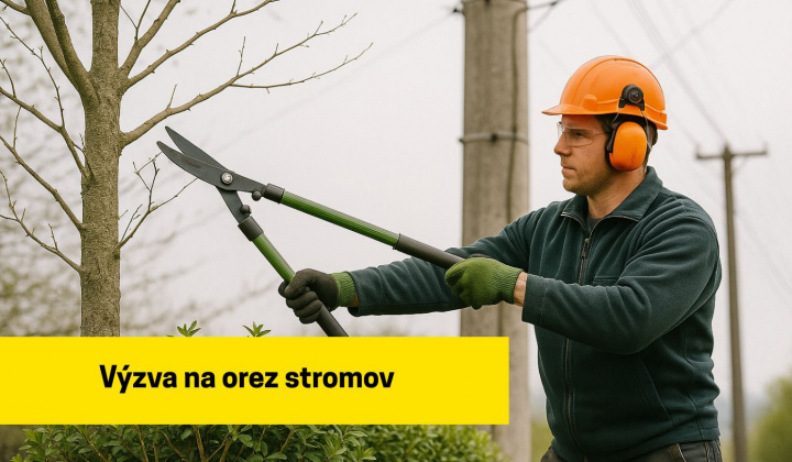 Fotka - Výzva na orez stromov do 28. 02. 2026